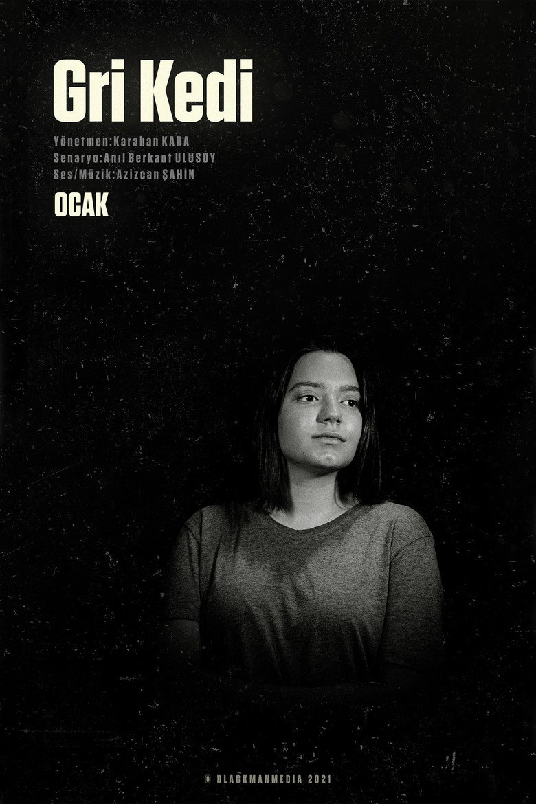 Gri Kedi poster background