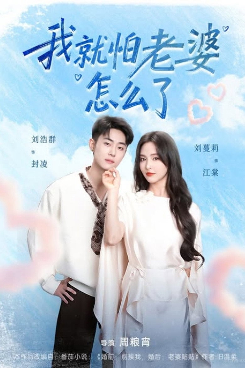 我就怕老婆怎么了 poster background