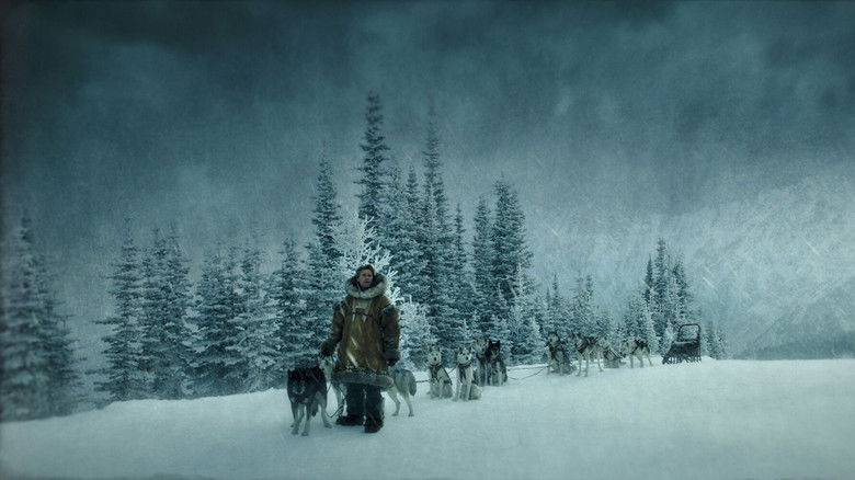 A quiet moment of reflection in the harsh winter