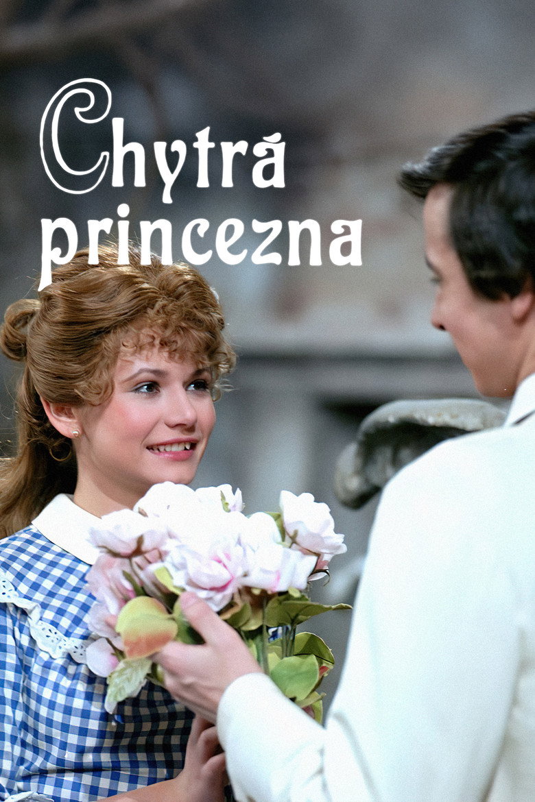 Chytrá princezna poster background
