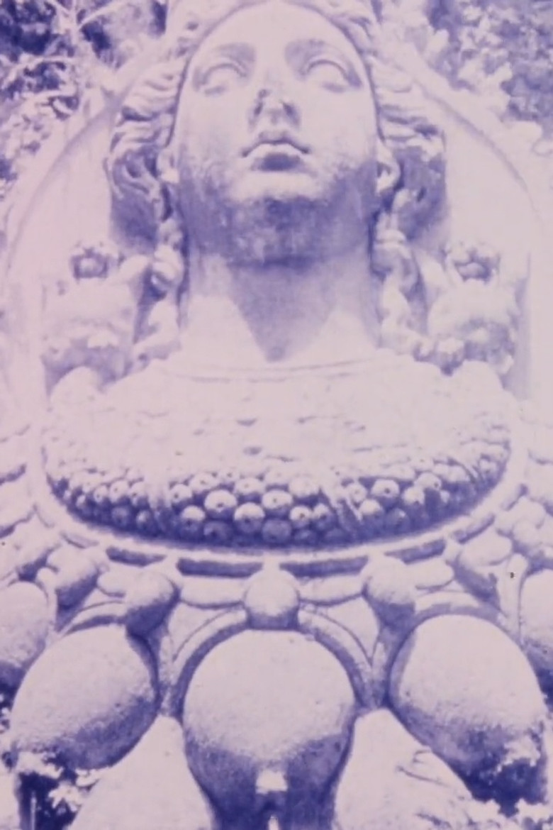 Shadows from the Western Wall poster background