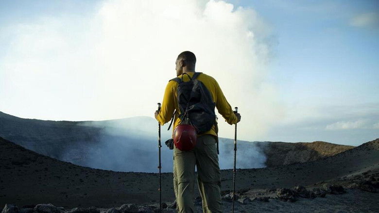 A dense, vibrant green jungle canopy