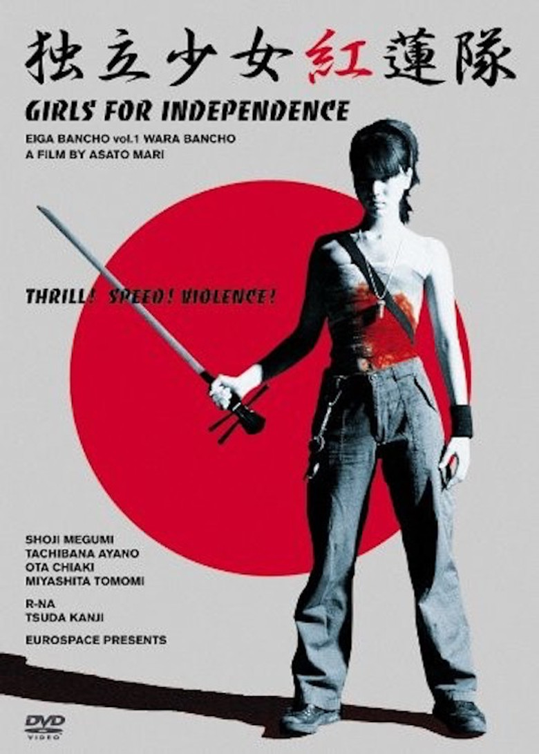 Samurai Chicks poster background