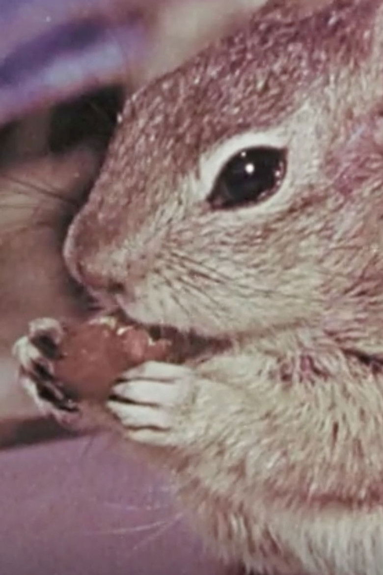 Squeak the Squirrel poster background