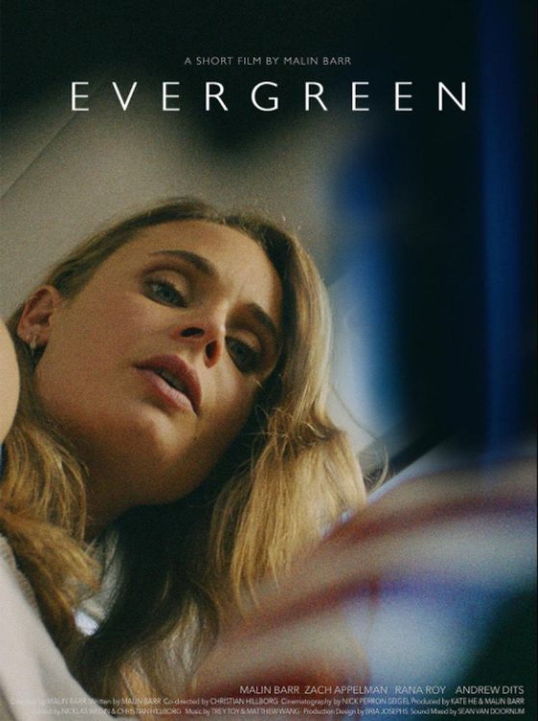 Evergreen poster background
