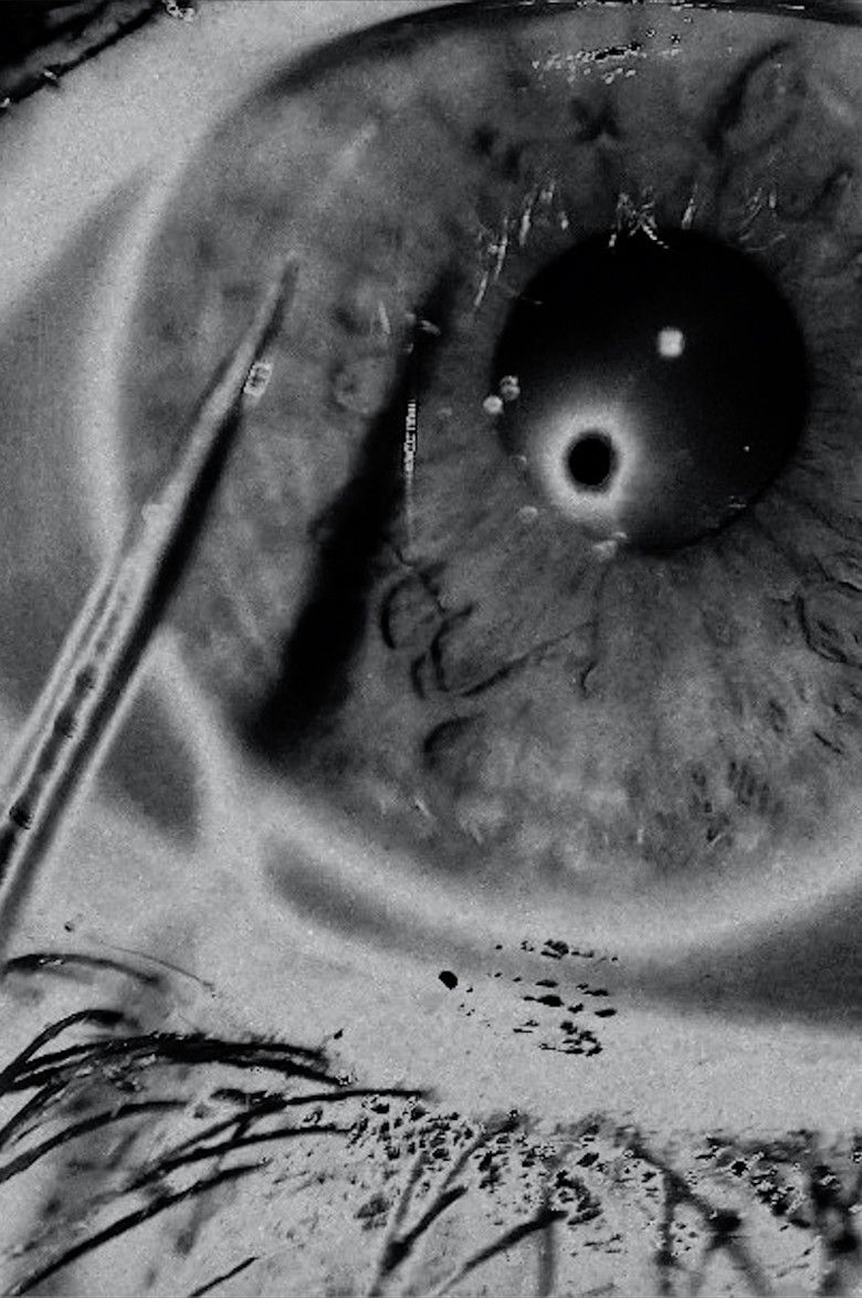 White Noise poster background