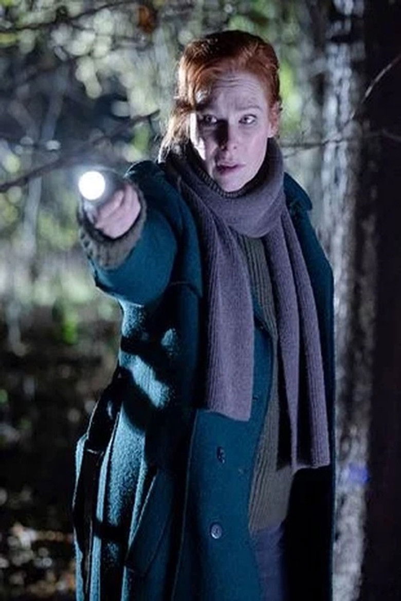 Charlotte Link - Einsame Nacht poster background