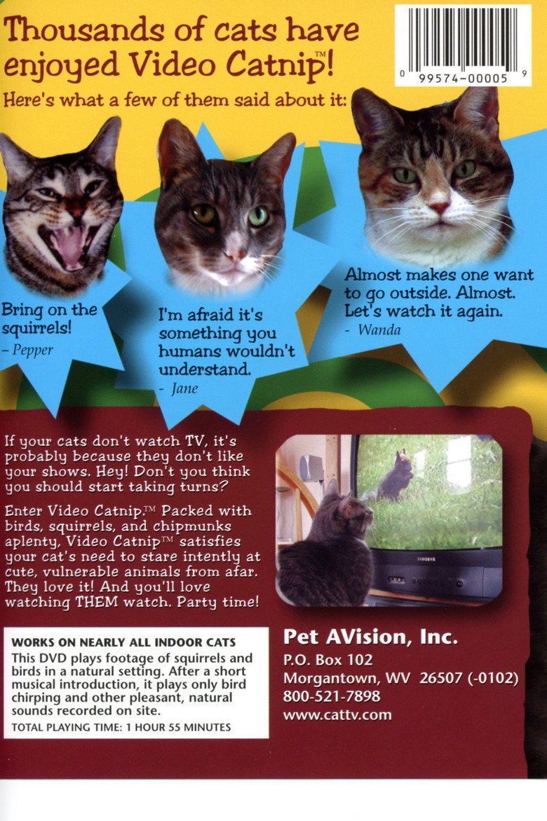 Video Catnip poster background