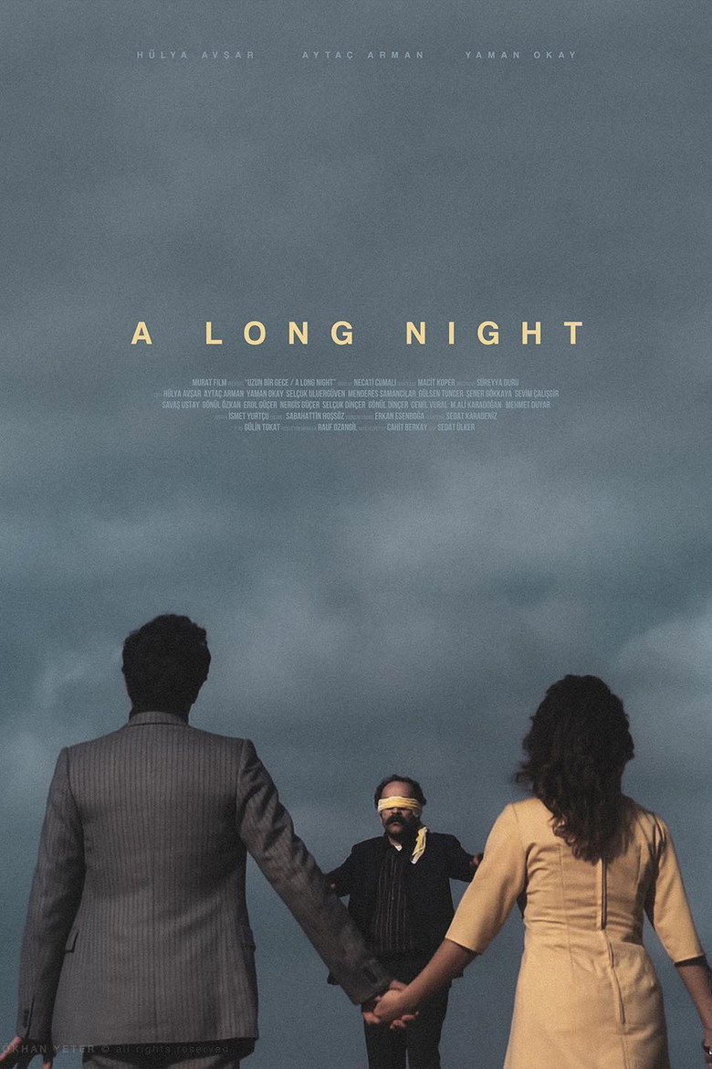 A Long Night poster background