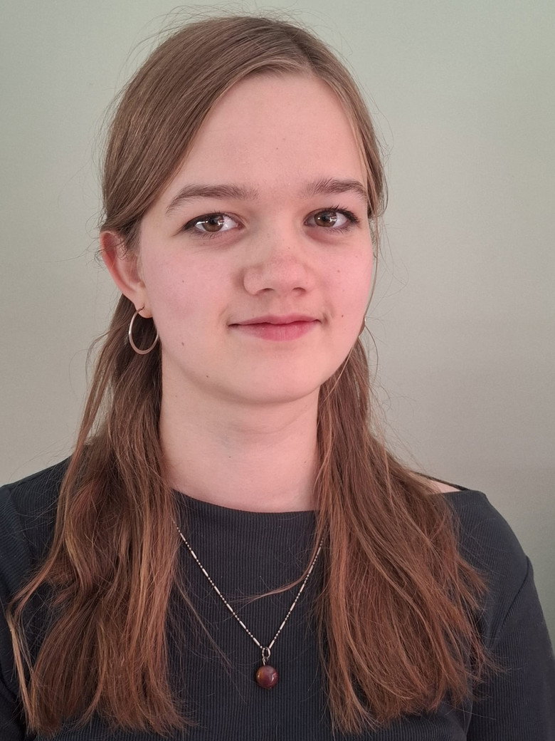 De zomer van 1823 poster background