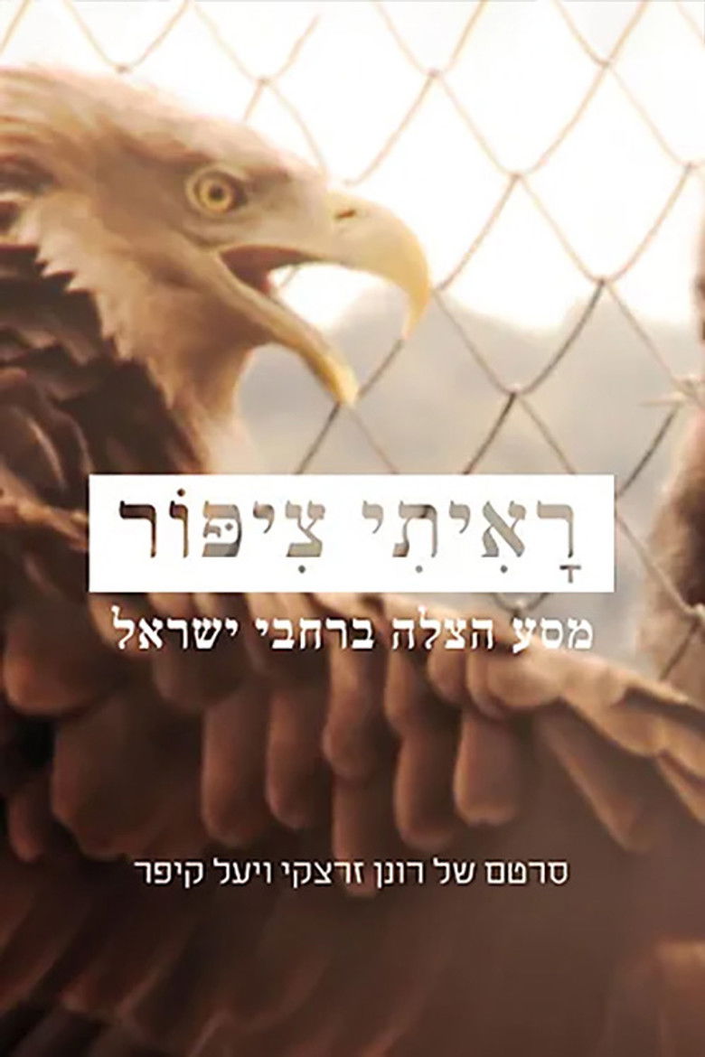 I Saw a Bird poster background