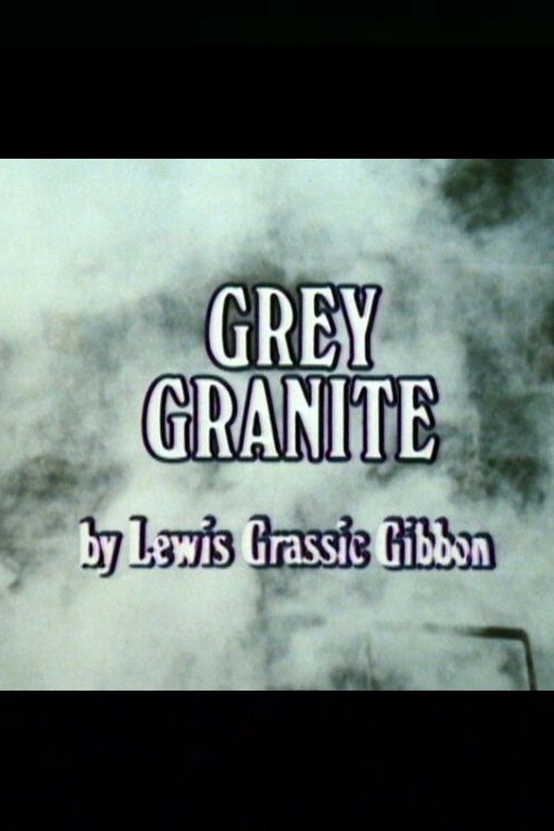 Grey Granite poster background