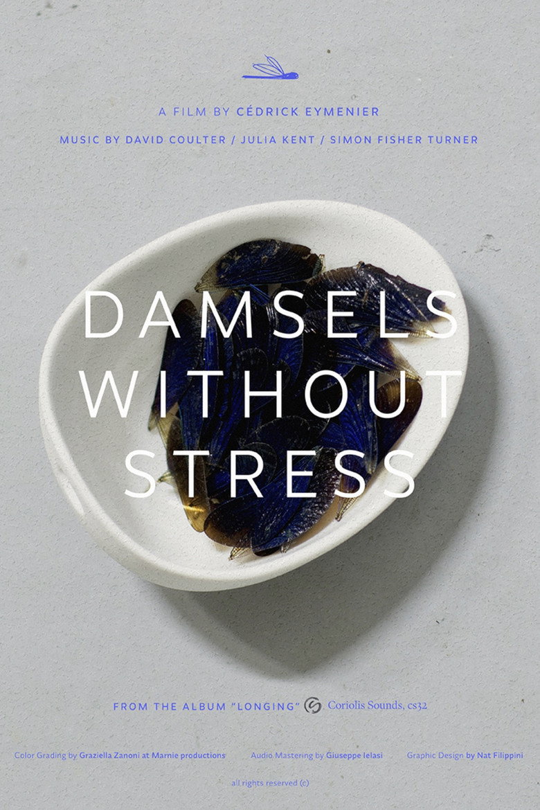 Damsels without stress poster background