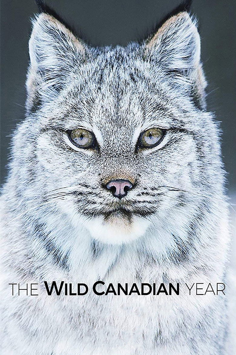 The Wild Canadian Year poster background