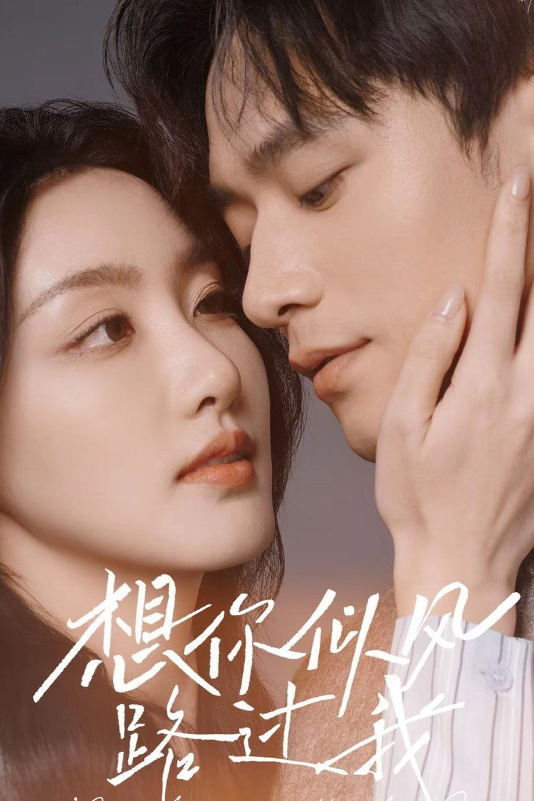 想你似风路过我 poster background