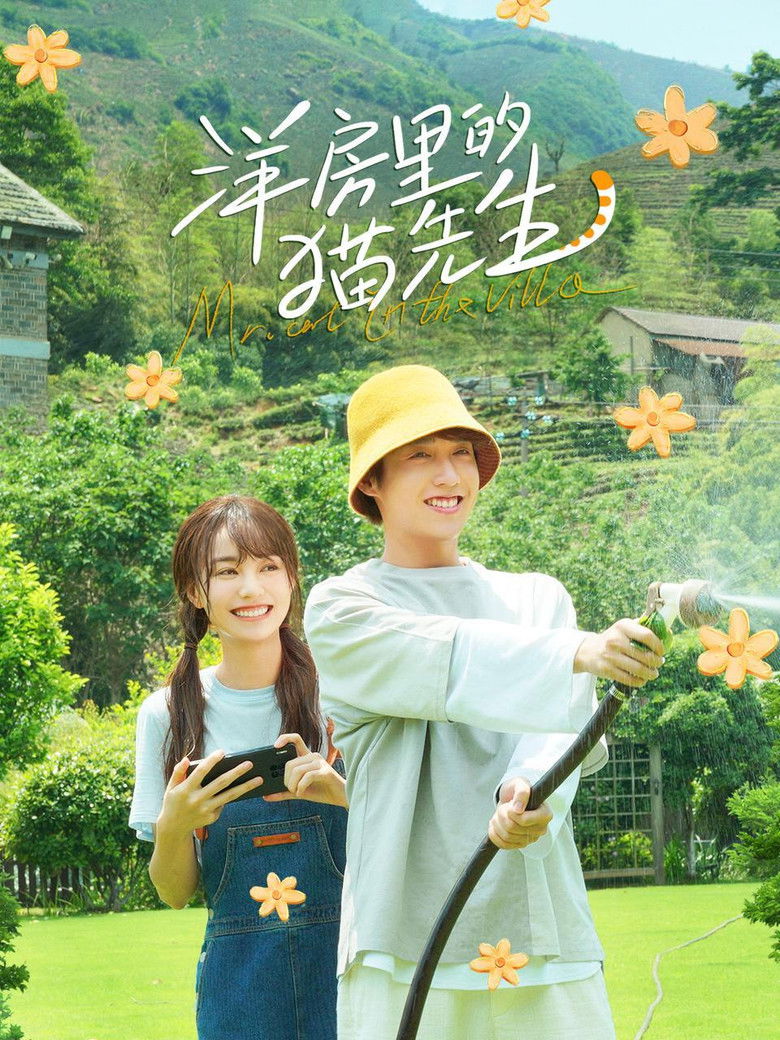 Mr. Cat in the Villa poster background