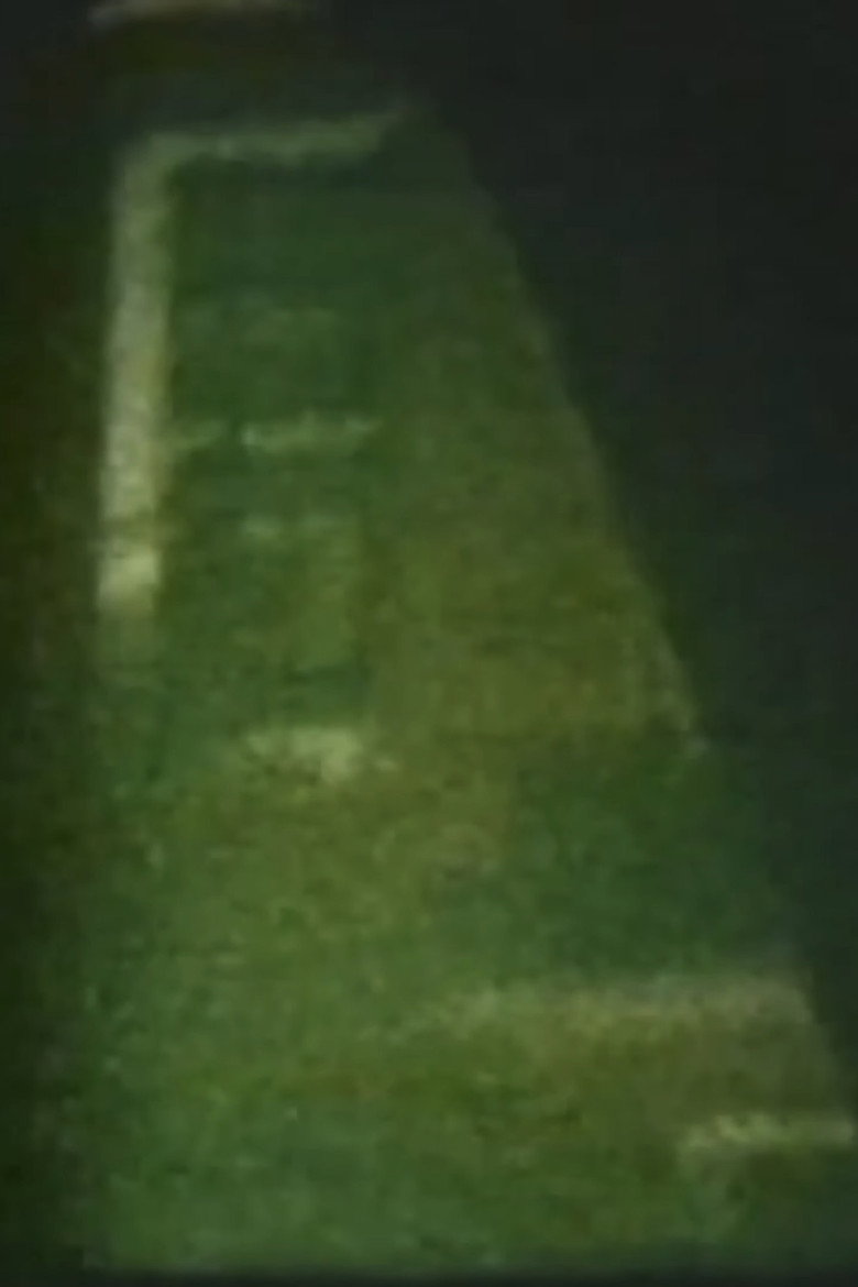 Song 13 poster background