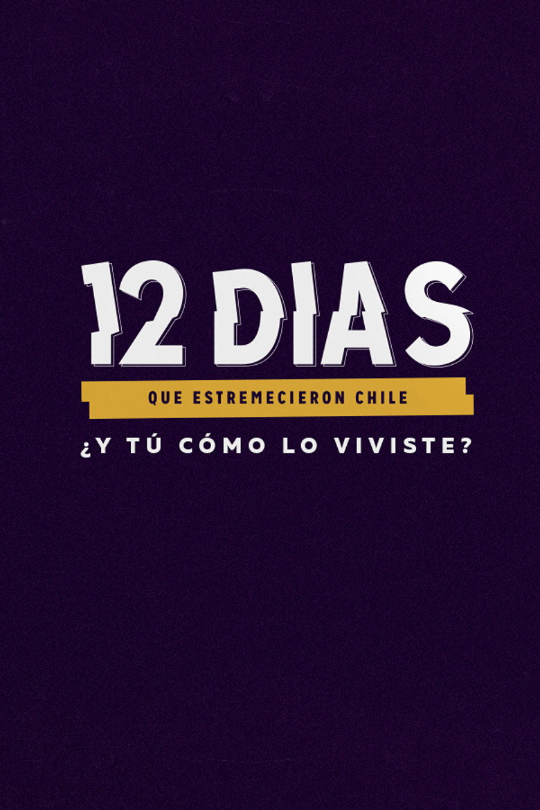 12 días que estremecieron Chile poster background