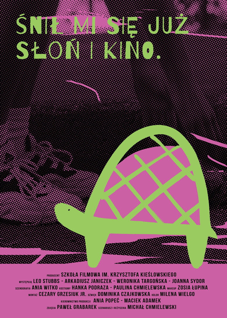 Ravik the Steppe Turtle poster background