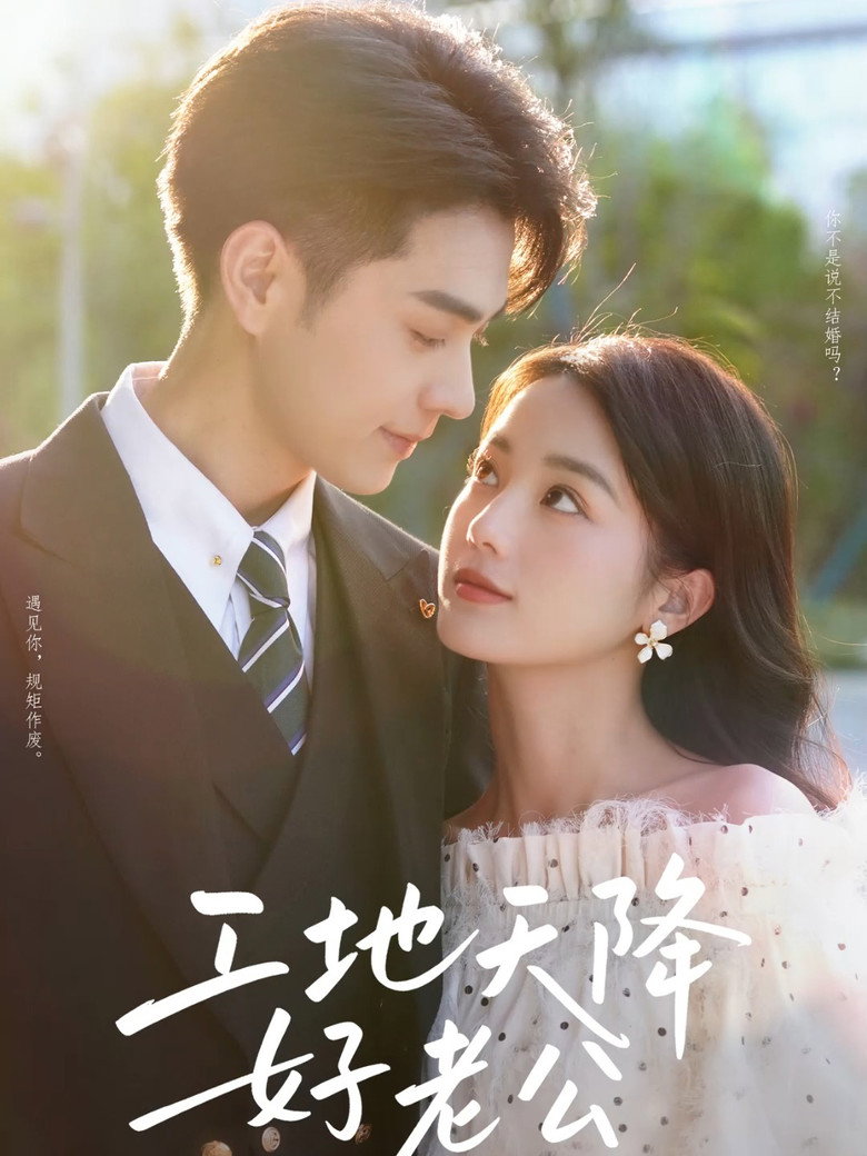 工地天降好老公 poster background