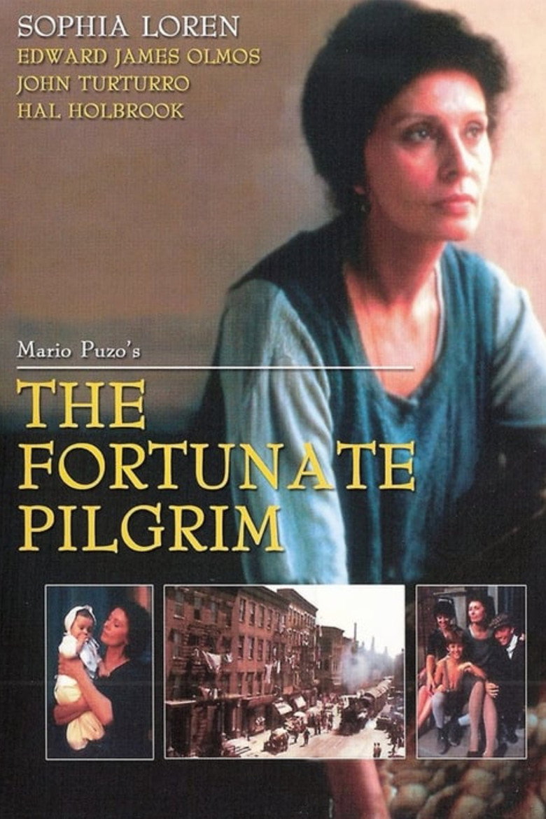 The Fortunate Pilgrim poster background