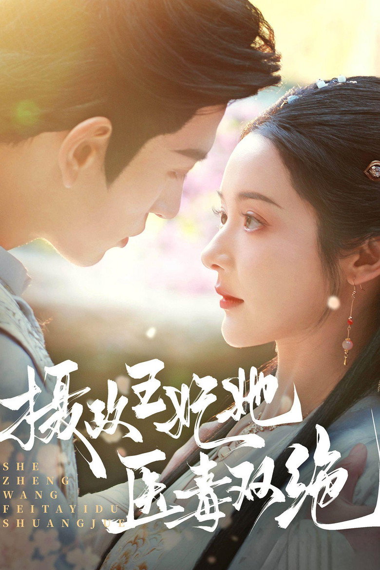 She Zheng Wang Fei Ta Yi Du Shuang Jue poster background