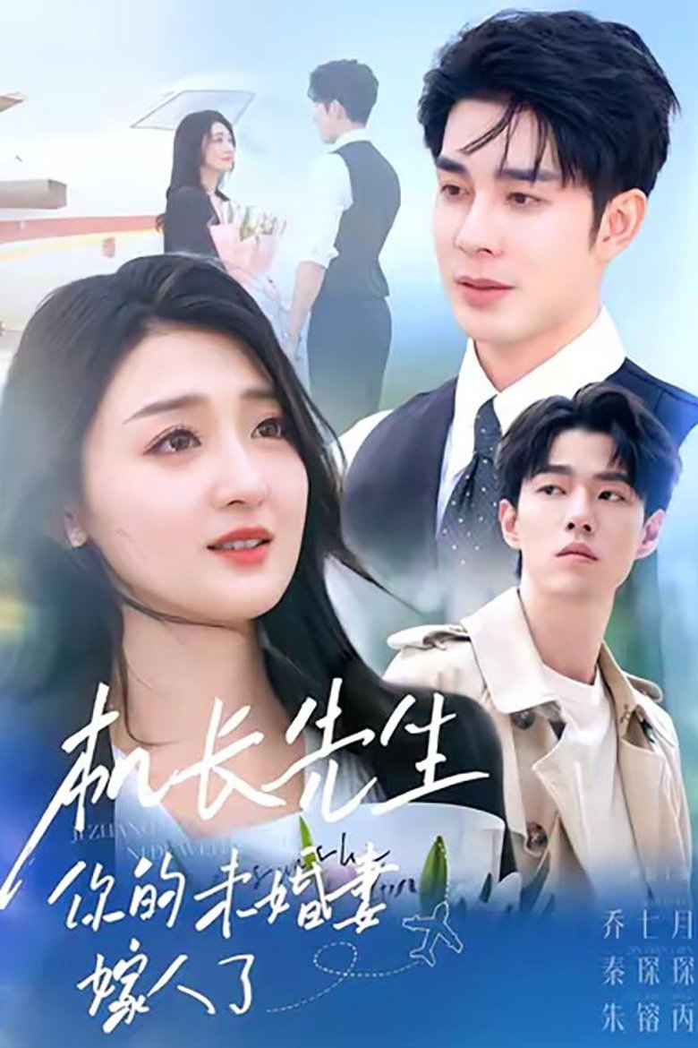 机长先生，你的未婚妻嫁人了 poster background
