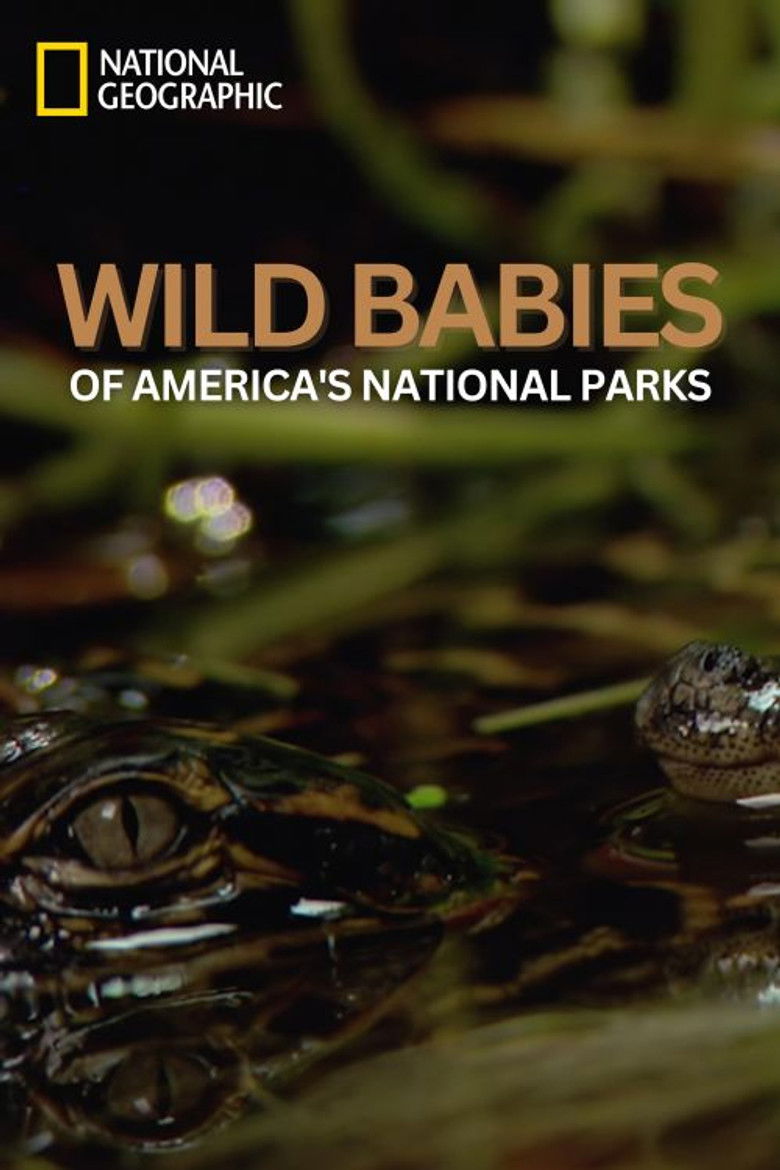 Wild Babies of America's National Parks poster background
