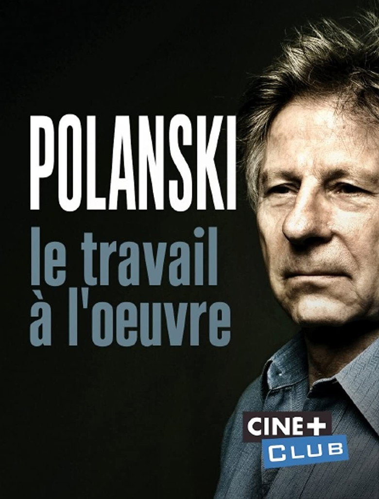 Polanski, le travail à l'oeuvre poster background