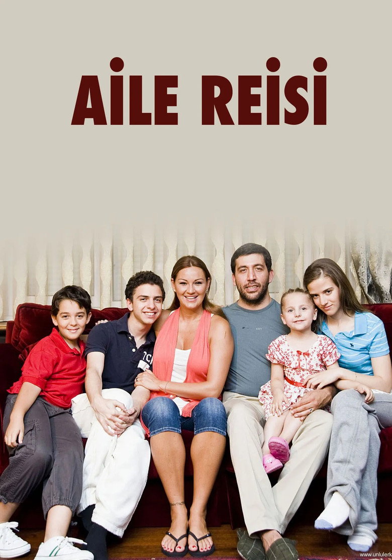Aile Reisi poster background