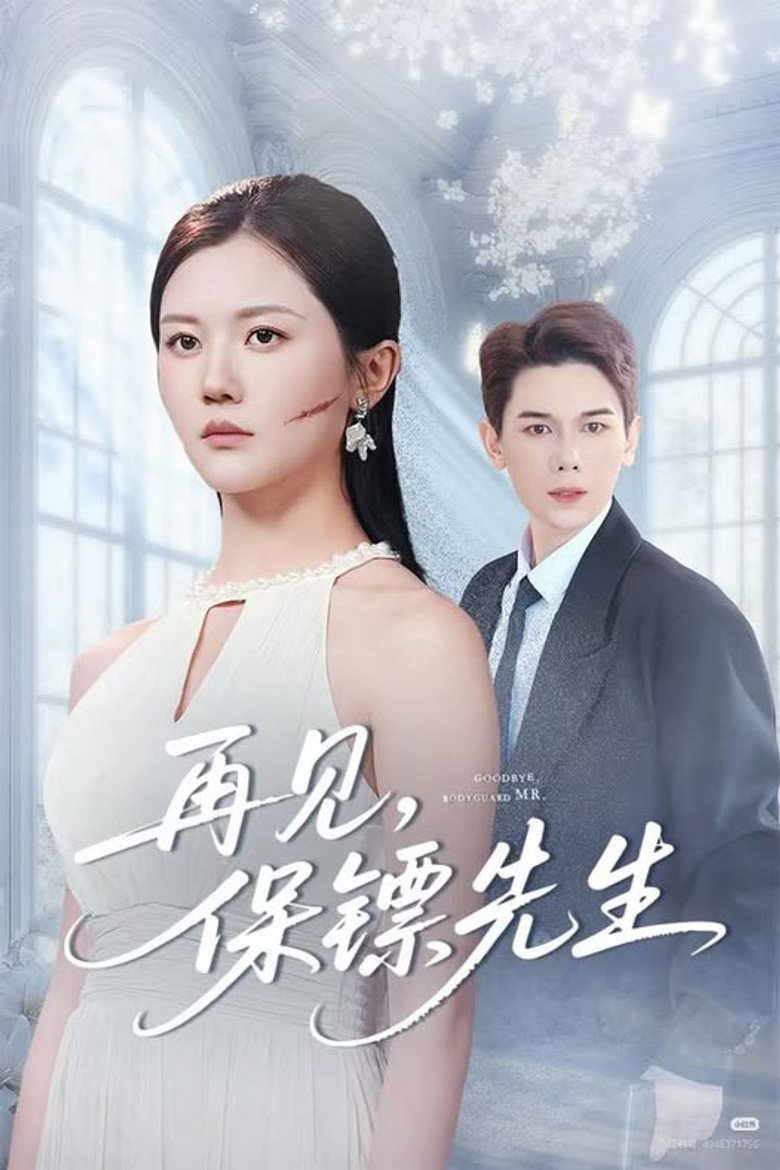 再见，保镖先生 poster background