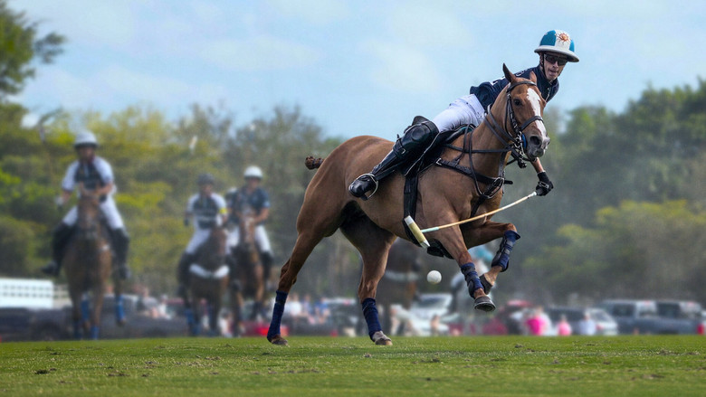 A polo player in mid-swing, mallet blurred with speed, the horse’s muscles taut under the sunlight