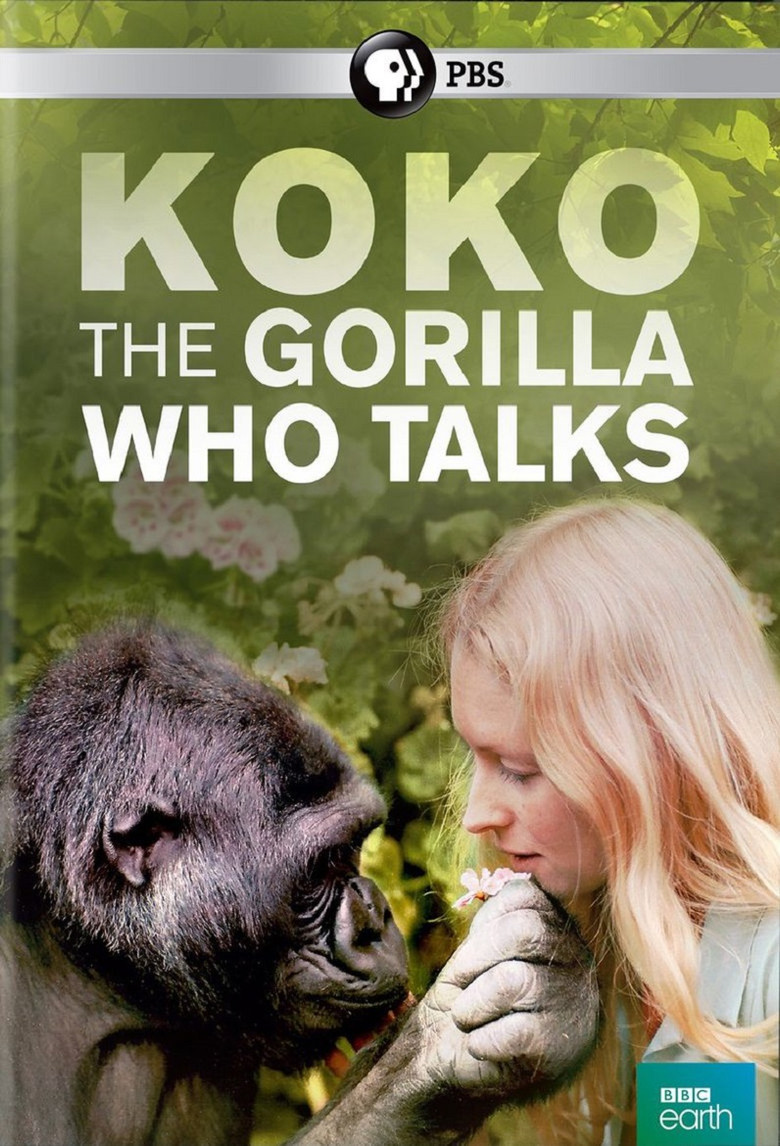 Koko: The Gorilla Who Talks to People poster background