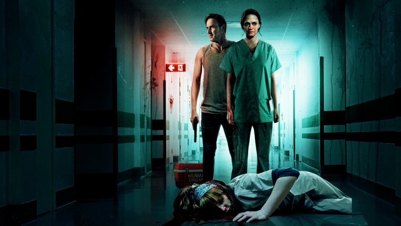A dimly lit hospital hallway stretches into the distance, its fluorescent lights casting long shadows. A figure in scrubs stands at the far end, back turned, as if waiting—or hiding.