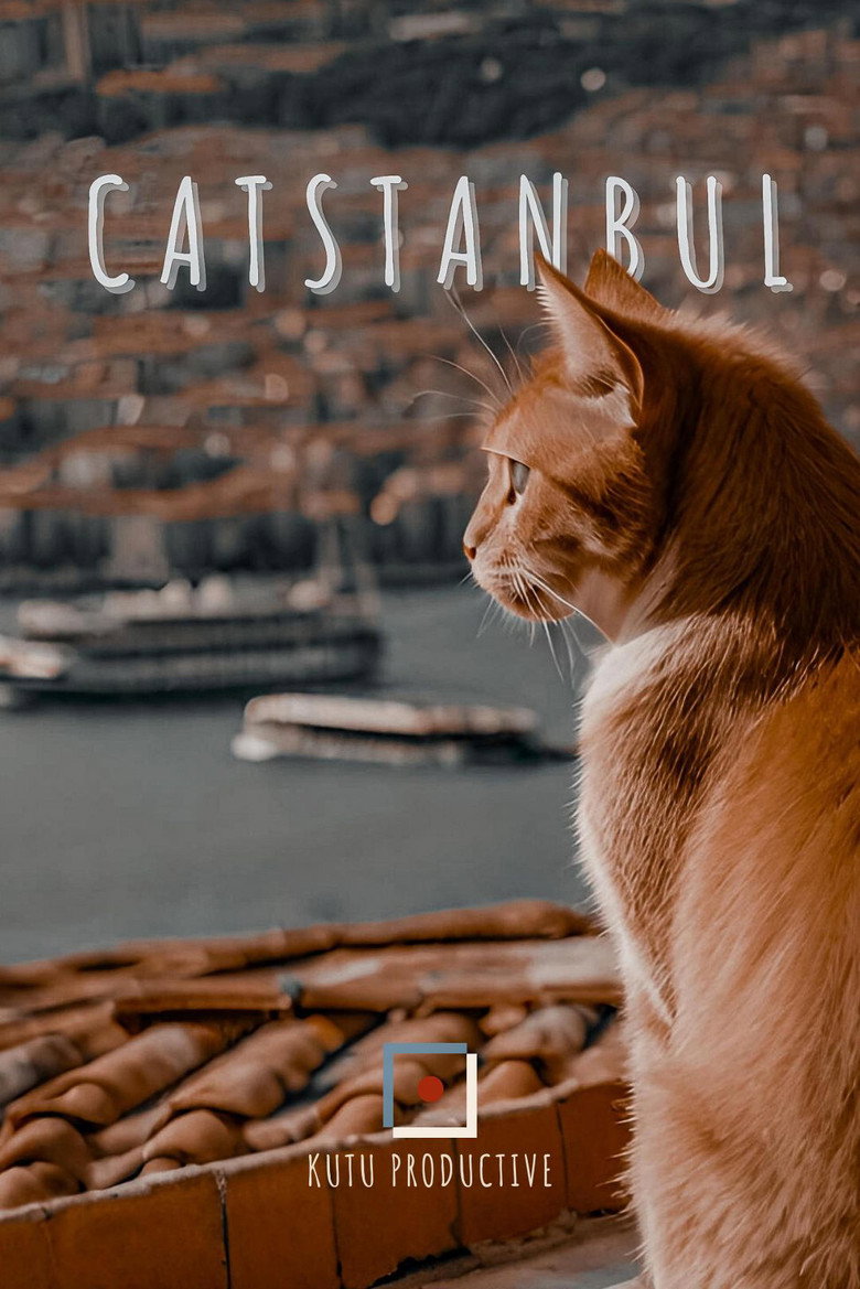 Catstanbul poster background