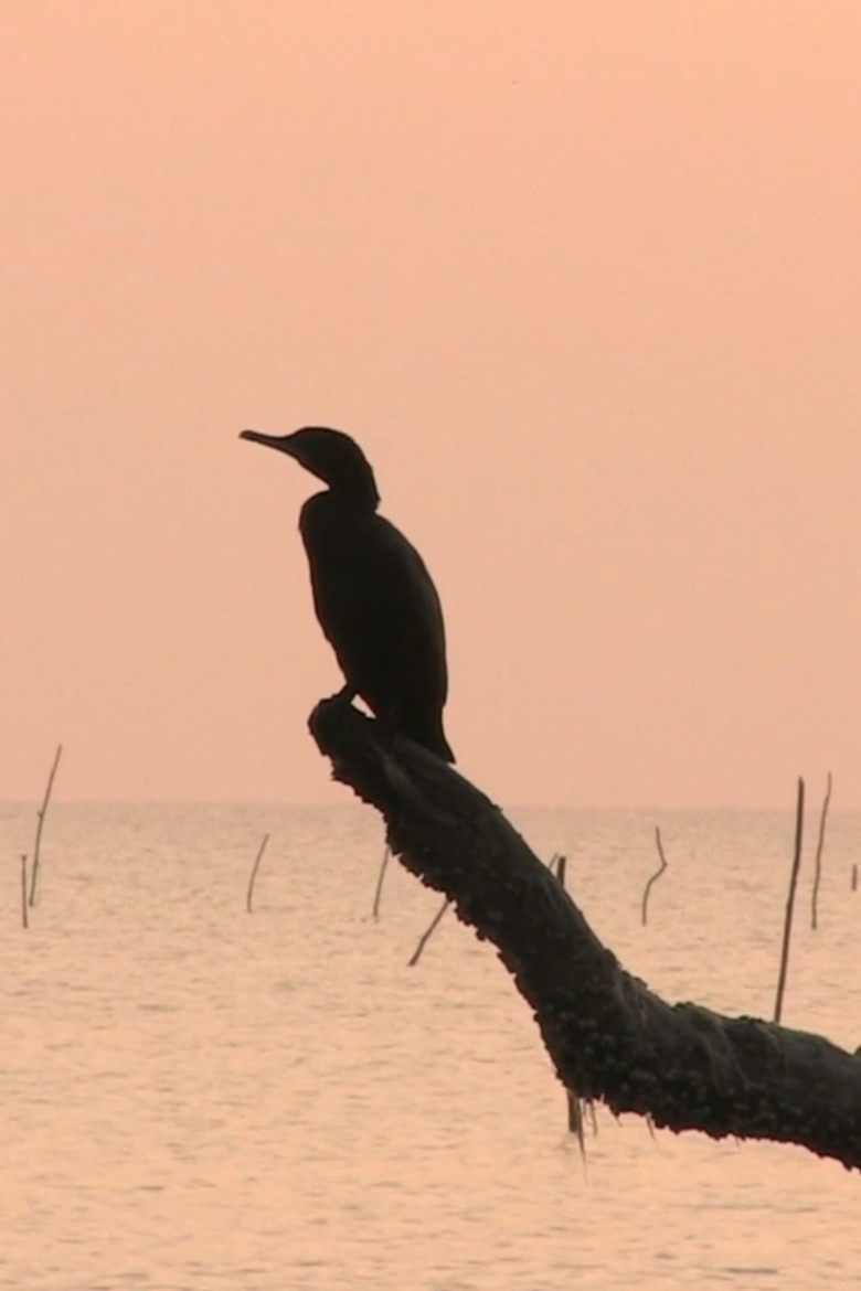 Isidro Guerra poster background