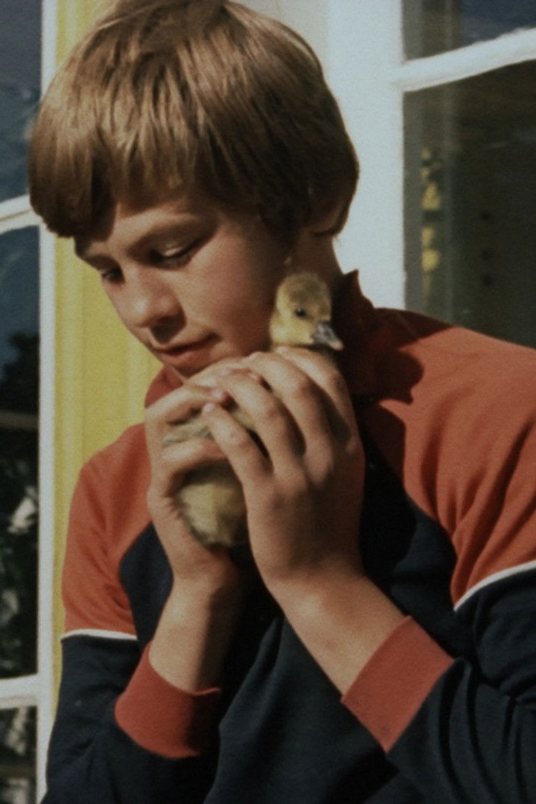 Vilsandi, mu kodu poster background