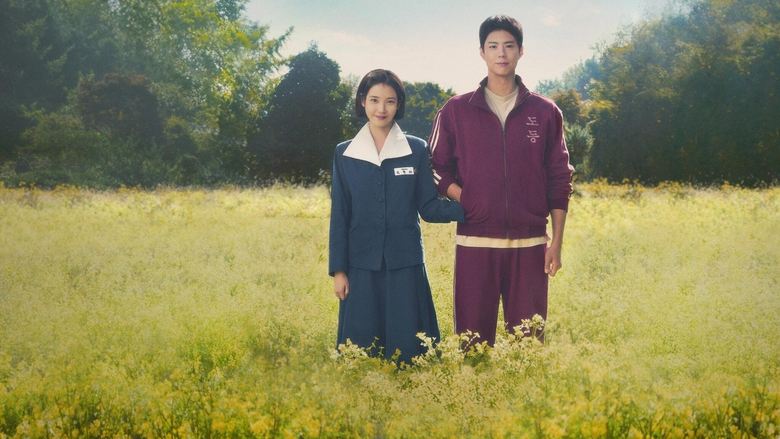 The windswept shores of Jeju Island