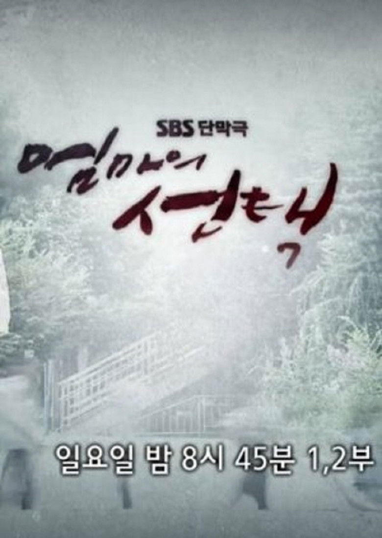 Mother's Choice poster background