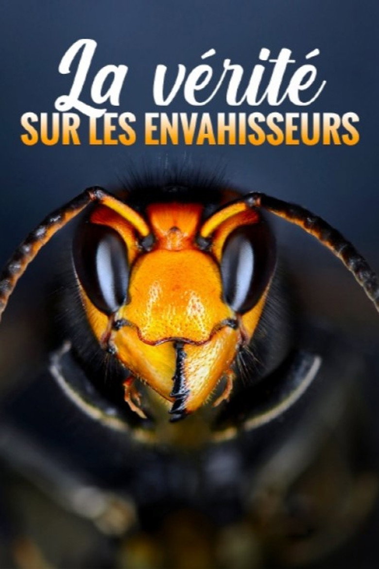 La vérité sur les envahisseurs poster background