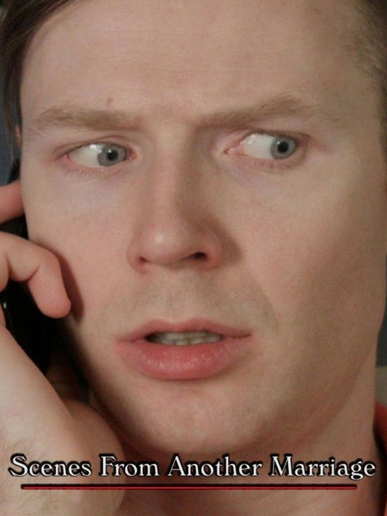 Scenes from Another Marriage poster background