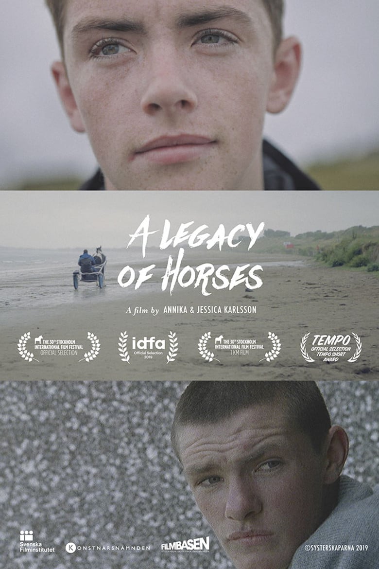 A Legacy of Horses poster background