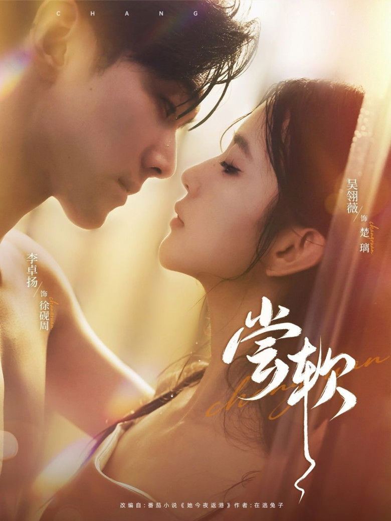 尝软 poster background