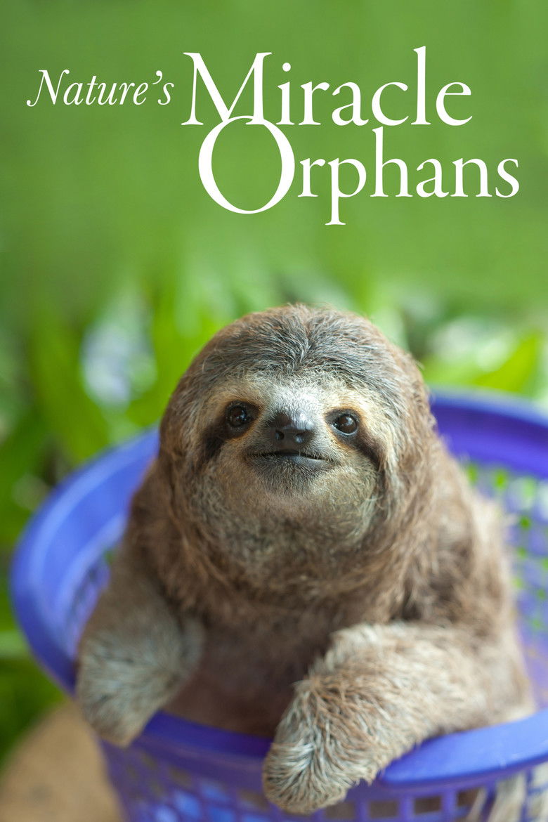 Nature's Miracle Orphans poster background