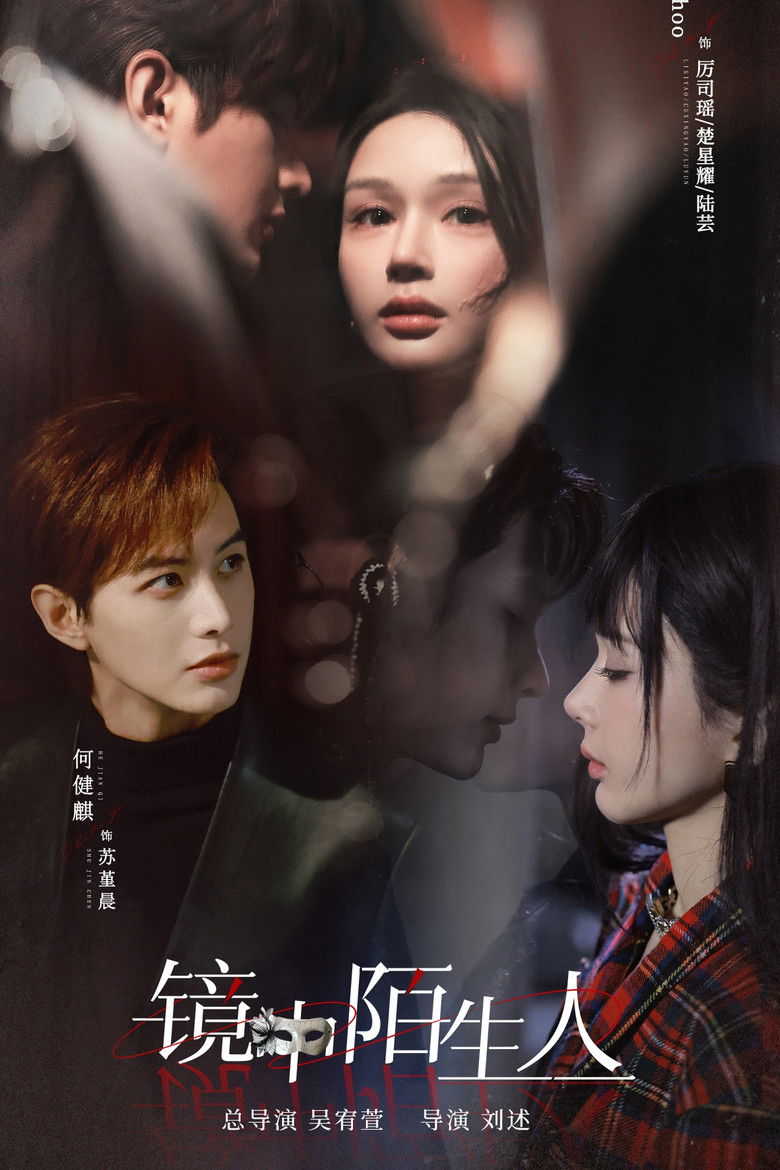 The Stranger in the Mirror poster background