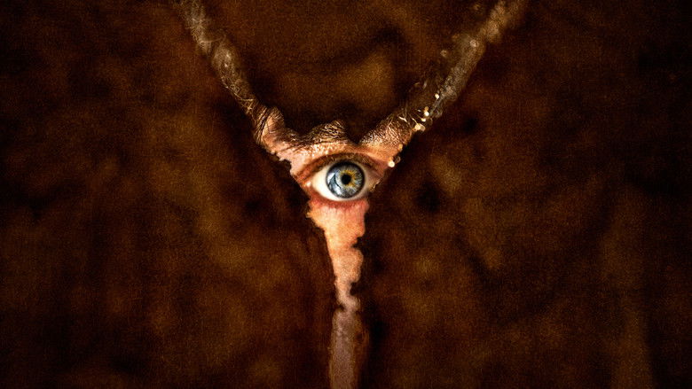 James Sunderland stands alone in the fog