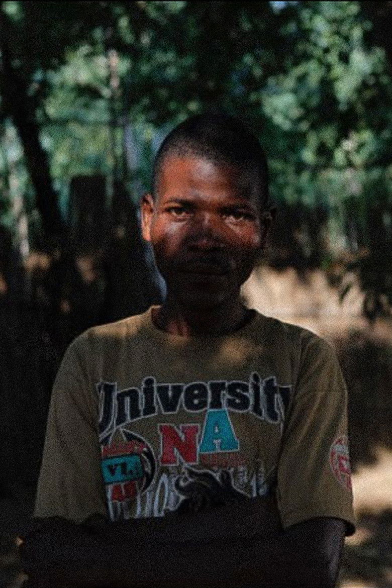 The Benevolent Dictator poster background