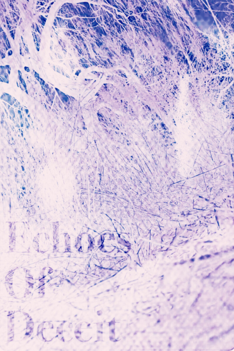 Echoes Of Deceit poster background