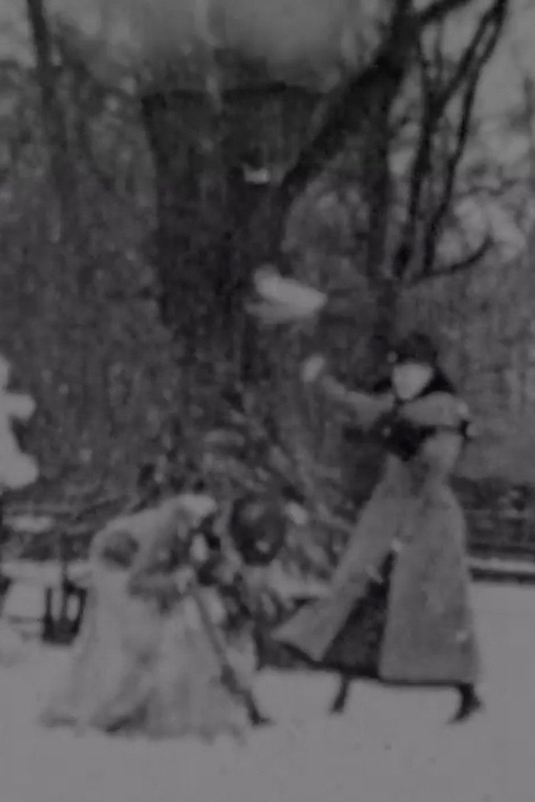 Snowballing poster background