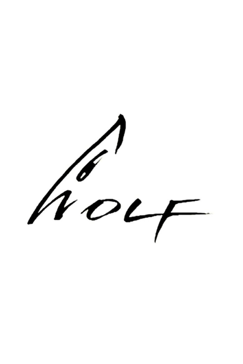 Wolf poster background